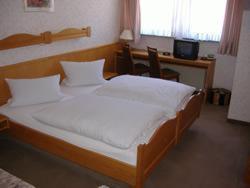 Hotel Zum Grunen Wald Villmar Eksteriør billede